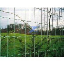 Garden Palisade Fence